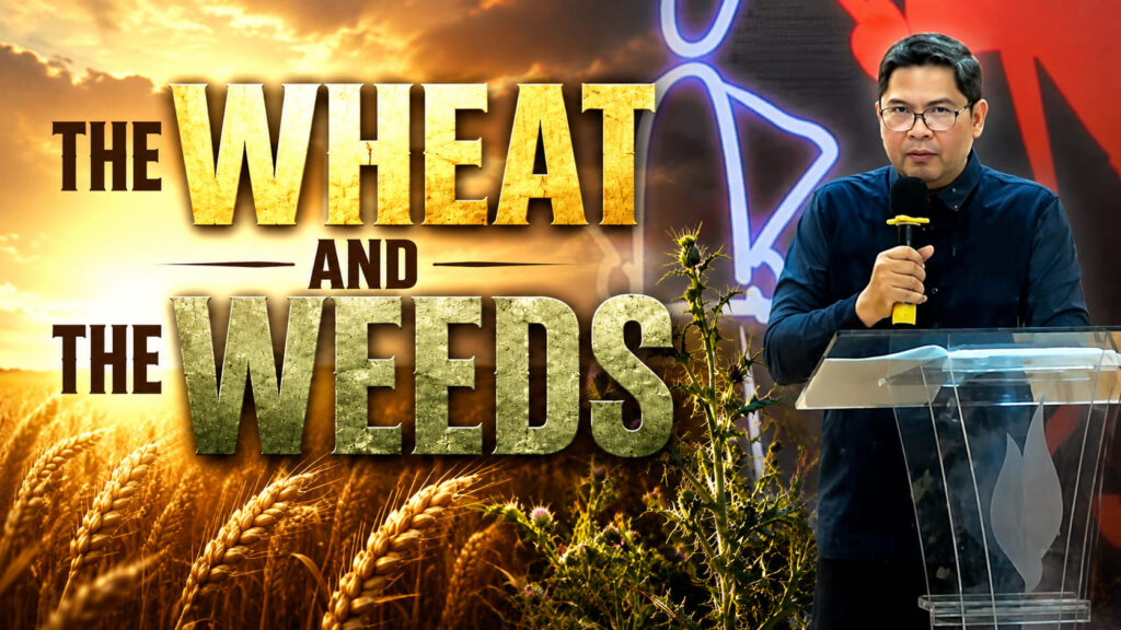 The Wheat and The Weeds